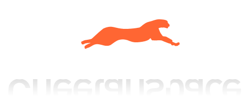 Cheetahspace business web hosting